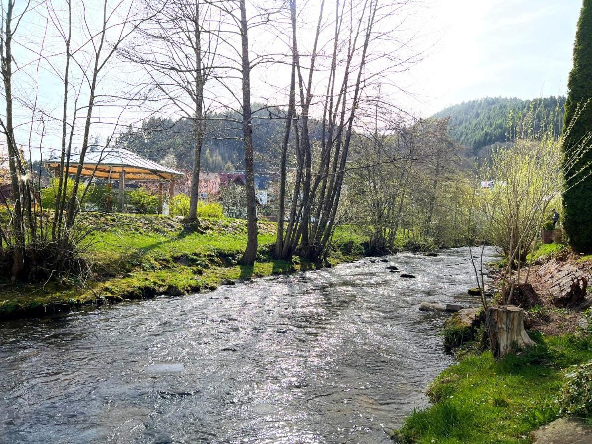 Ferienwohnung Kinzigblick - Balkon - Fuer Kinder - Mit Bettwaesche & Handtuecher Schenkenzell Dış mekan fotoğraf